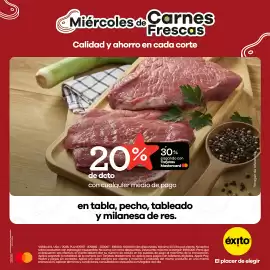 Catálogo Éxito Página 5