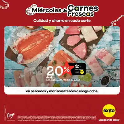 Éxito (válido hasta 30-04)