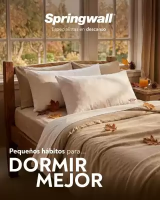 Springwall (válido hasta 20-04)