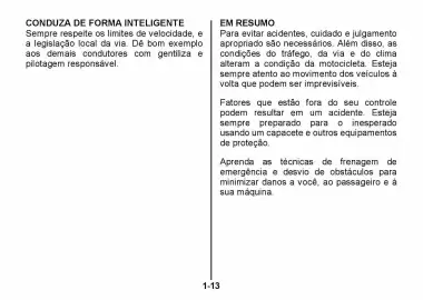 Catálogo Suzuki Motos Página 21