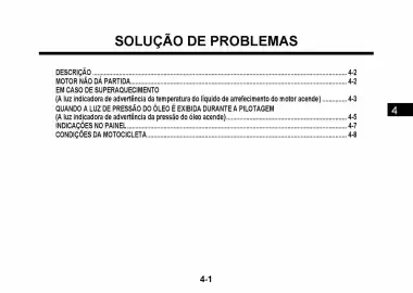 Catálogo Suzuki Motos Página 252