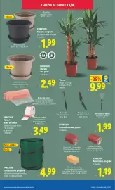 Catálogo Lidl | Bazar Página 15