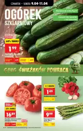 Biedronka gazetka Strona 26