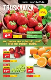 Biedronka gazetka Strona 27