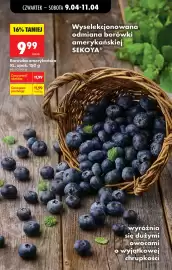 Biedronka gazetka Strona 57