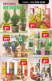 Biedronka gazetka Strona 83