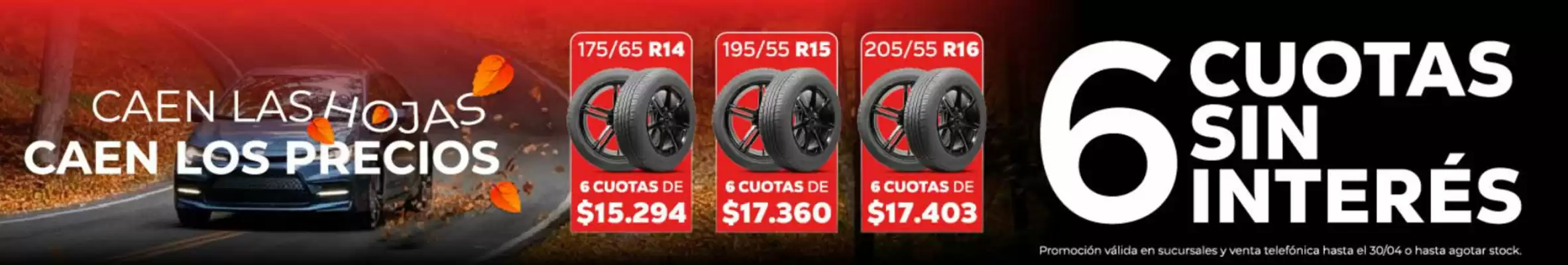 Neumáticos Rosmi (válido hasta 30-04)