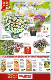 Hellweg Prospekt woche 15 Seite 16