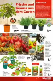 Hellweg Prospekt woche 15 Seite 13