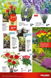 Hellweg Prospekt woche 15 Seite 15