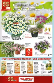 Hellweg Prospekt woche 15 Seite 16