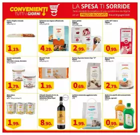 Volantino Sigma Pagina 7