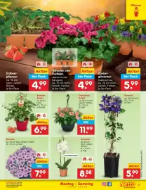 Netto Marken-Discount Prospekt Seite 9