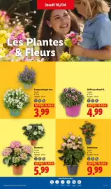 Catalogue Lidl semaine 16 page 25