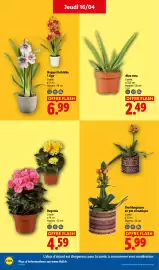 Catalogue Lidl semaine 16 page 26