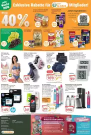 Globus Prospekt woche 16 Seite 24