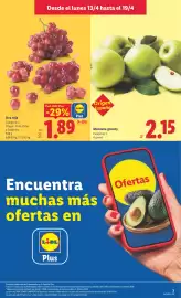 Catálogo Lidl semana 16 Página 3