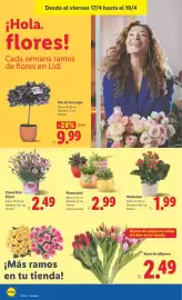 Catálogo Lidl semana 16 Página 46