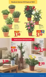 Catálogo Lidl semana 16 Página 47