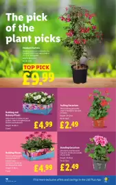 Lidl leaflet week 16 Page 20