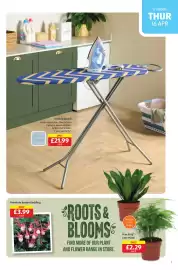 Aldi leaflet Page 7