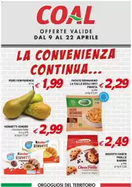 Volantino Coal Pagina 1