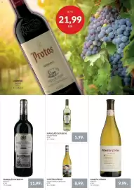 Nielsen's Discount tilbudsavis Side 21