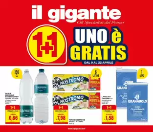 Volantino Il Gigante Pagina 1