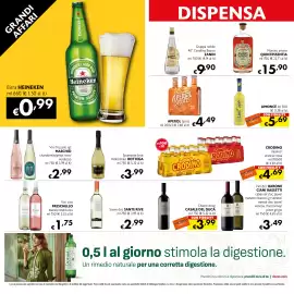 Volantino Eurospesa Pagina 12