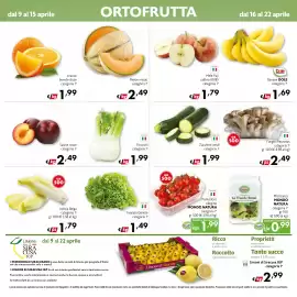 Volantino Eurospesa Pagina 4