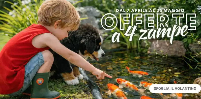 Giardineria (valido fino al 25-05)