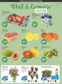 V Markt Prospekt woche 16 Seite 4