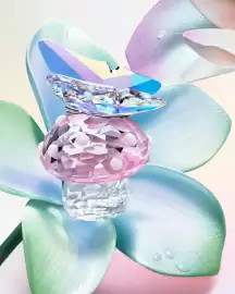 Swarovski leták Strana 2