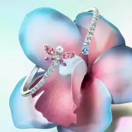 Swarovski leták Strana 5