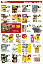 Folleto FROIZ Página 13