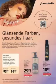 Dm Flugblatt Seite 12