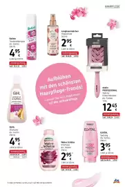 Dm Flugblatt Seite 13