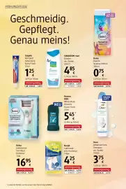 Dm Flugblatt Seite 14