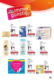 Dm Flugblatt Seite 19