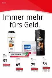 Dm Flugblatt Seite 20