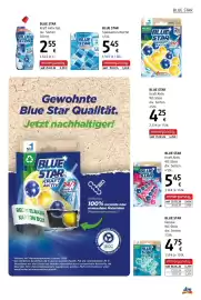 Dm Flugblatt Seite 23