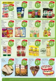 Passa gazetka Strona 8