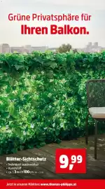 Thomas Philipps Prospekt woche 16 Seite 11