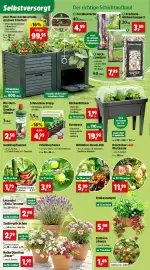 Thomas Philipps Prospekt woche 16 Seite 4