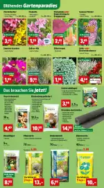 Thomas Philipps Prospekt woche 16 Seite 5