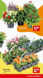 Thomas Philipps Prospekt woche 16 Seite 7