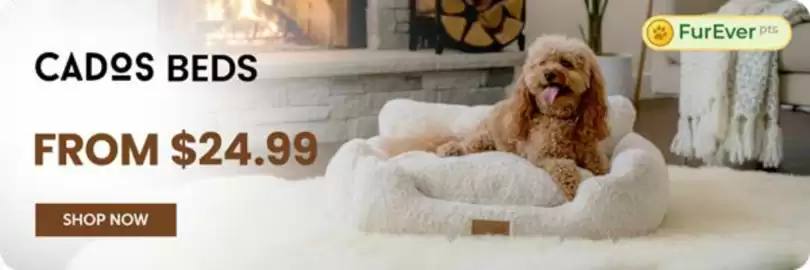 Budget Pet Products catalogue Page 6