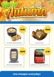 Cheap as Chips catalogue Page 4