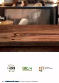 Catalogue Dispano page 234