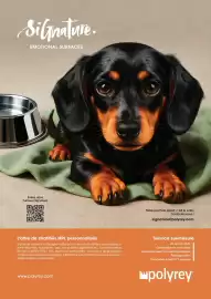 Catalogue Dispano page 73